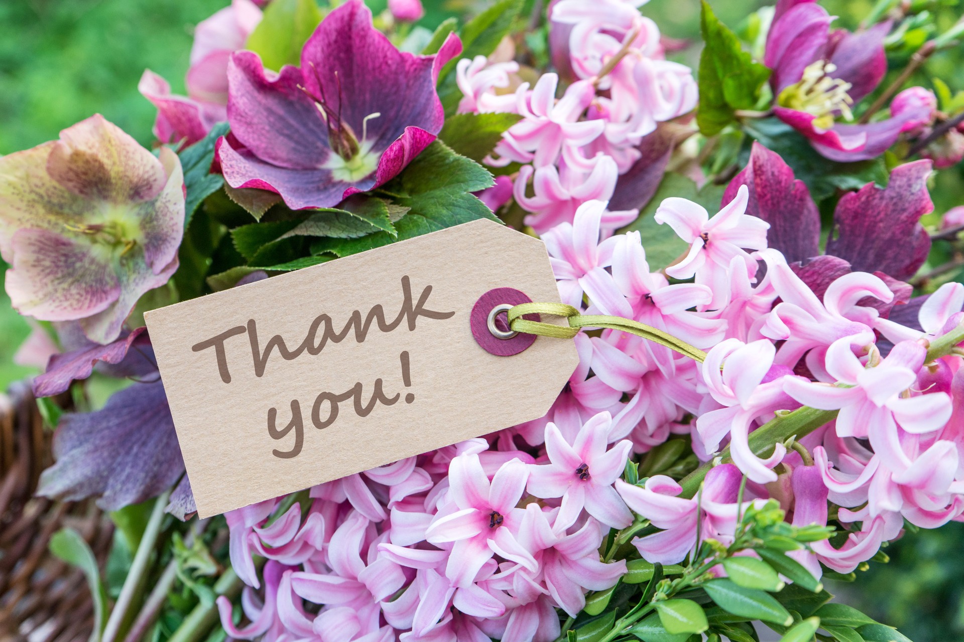 Thank you